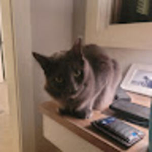 Meet your Posher, Nicholas